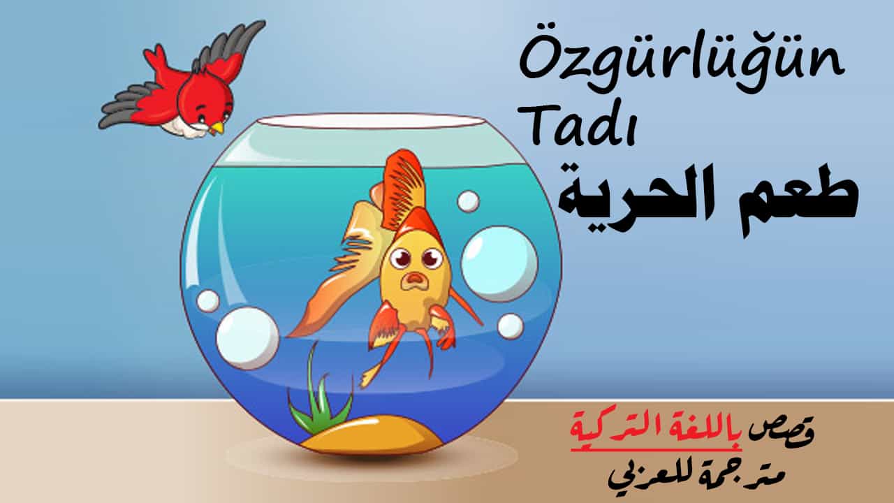 طعم الحرية Özgürlüğün Tadı