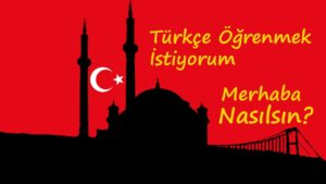 كيفية تعلم اللغة التركية