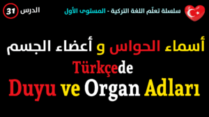 أسماء الحواس الخمسة و أعضاء الجسم في اللغة التركية