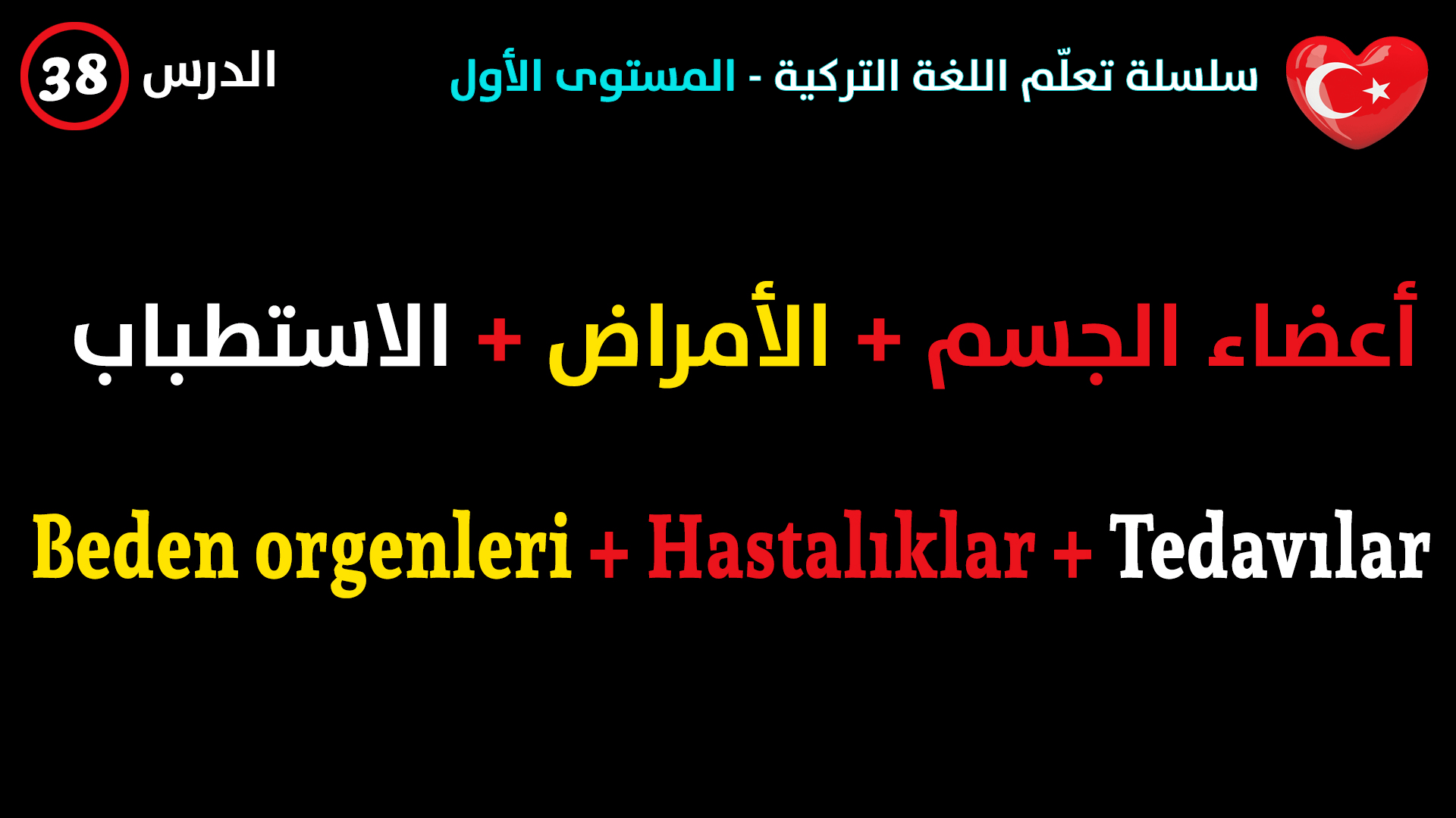 أعضاء الجسم + الأمراض + الاستطباب في اللغة التركية – الدرس الثامن و الثلاثون